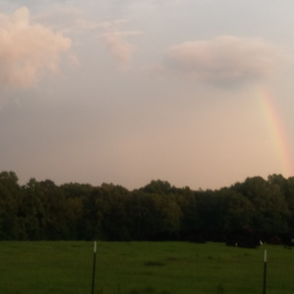 Comment here so I can share your closet!! - Picture 2 of 2